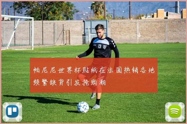 帕尼尼世界杯贴纸在法国热销各地频繁缺货引发抢购潮