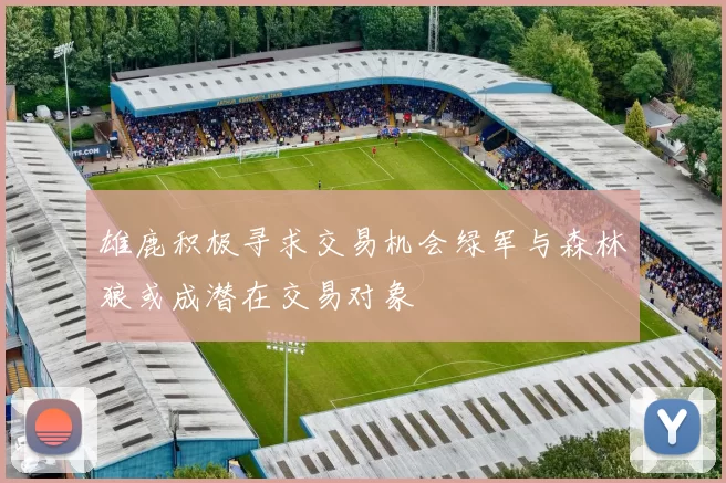 雄鹿积极寻求交易机会绿军与森林狼或成潜在交易对象