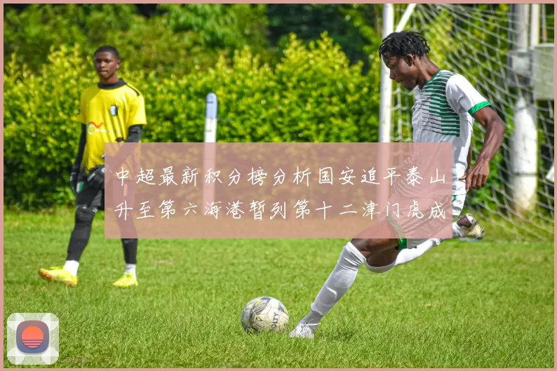 中超最新积分榜分析国安追平泰山升至第六海港暂列第十二津门虎成功摆脱垫底困境